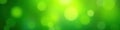 Soft green bokeh, luminous dots, vibrant spring feel, eco, soft lights