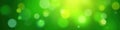 Soft green bokeh, luminous dots, vibrant spring feel, green texture, fresh lights, soft