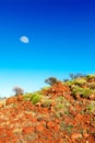 Soft green bushes on orange hillside in Australian outback with