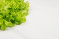 Soft green young salad leaves on white wood board, copy space.