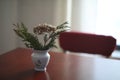 Soft home decor, white jug, vase with flowers on a dark vintage table background. Cozy Interior details Royalty Free Stock Photo