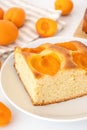 Soft homemade pie with fresh apricots Royalty Free Stock Photo