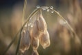 Soft hues of the Oat milk plant generative AI