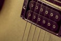 Soft image of a black humbucking pickup on a gold guitar