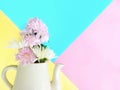 Pink and white chrysanthemum flowers are blooming on ceramic teapot with colorful pastel background Royalty Free Stock Photo