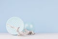 Soft light blue pastel color in minimalist home decoration - sphere ceramic vase, dish and old shabby tree on white wood board.