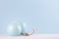 Soft light blue pastel color in minimalist home decoration - sphere ceramic vases, old shabby tree on white wood board.