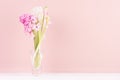 Soft light exquisite pink hyacinth flowers in glass vase on white wood table, romantic springtime background. Royalty Free Stock Photo