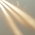 Soft Light Rays Creating Subtle Shadows On A Textured Surface image photo Royalty Free Stock Photo