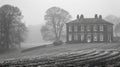 Soft minimalistic landscape of english country side with fields and old mansion house, in black and white Royalty Free Stock Photo