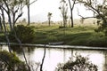 Soft Morning Light On The Banks Of A Creek Royalty Free Stock Photo