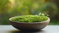 Soft moss in a handmade clay bowl on table . Royalty Free Stock Photo