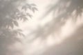 Soft Neutral Botanical Shadow Background With Natural Light And Minimal Aesthetic Royalty Free Stock Photo