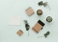 Soft Neutral Styled Desk Scenes With Cactus, craft eco notebooks and green leaves Royalty Free Stock Photo