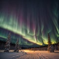 soft northern lights aurora show over sparse spruce trees and wind blown snow drift made with Generative AI