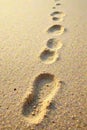Soft  pale beach sand  subtle indentations of footprints   high resolution  warm  vacation Royalty Free Stock Photo