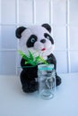 A soft Panda toy and a glass jar with a lid on a white background. Reusable packaging. Disaster of the planet. Concept of garbage