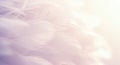 Soft pastel abstract background with delicate feather-like textures and gentle light Royalty Free Stock Photo