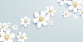 Soft pastel background with 3d realistic chamomile or daisy flower, diagonal stripe of blossom on light blue background