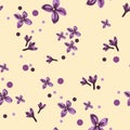 Soft pastel color floral background. Purple Lilac flowers and petals watercolor style. Royalty Free Stock Photo