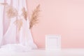 Soft pastel pink interior with blank square photo frame, white silk curtain and beige fluffy reeds on wood shelf, copy space. Royalty Free Stock Photo