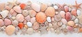 Soft peach fuzz and colorful coral seashells beautifully arranged on a serene sandy beach Royalty Free Stock Photo
