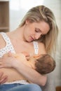 soft photo young mother feeding breast baby Royalty Free Stock Photo