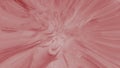 Soft Pink Artistic Shades & Blurs Background Abstract Royalty Free Stock Photo