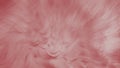 Soft Pink Artistic Shades & Blurs Background Abstract Royalty Free Stock Photo