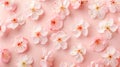 Delicate cherry blossom petals on pink background Royalty Free Stock Photo