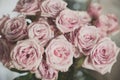Soft Pink dozen roses in white vase