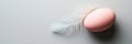 Soft pink egg and white feather in minimalist composition on gray background Royalty Free Stock Photo