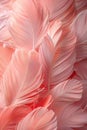 Soft pink feathers close-up, creating a delicate texture.
