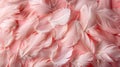 Soft pink feathers layered closely, creating a sense of tenderness.