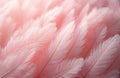 Soft pink feathers overlap creating a gentle tactile texture. Delicate feather details form a beautiful abstract pattern. Light Royalty Free Stock Photo