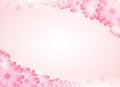 Soft pink flower bright background.