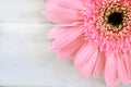 Soft pink flower gerbera daisy on white  table background Royalty Free Stock Photo