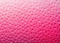Soft Pink Gradient Background with Foam Sponge Texture A Modern RuleofThirds Design Element for Websites Posters and Royalty Free Stock Photo