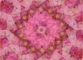 Soft Pink Kaleidoscope Pattern