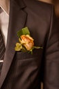 Soft Pink Rose in a Groom Suit Royalty Free Stock Photo