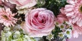 Soft pink rose in the bouquet tropical wedding occasion romantic propose marriage