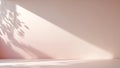Soft pink wall and floor with dappled sunlight and leaf shadows Royalty Free Stock Photo