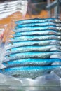 Soft plastic fishing baits in boxes Royalty Free Stock Photo