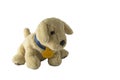 Soft plush dog toy. Ivory, brown pupy toy, isolated