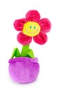 Soft plush toy flower in the pot