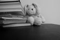 Black and white photo of a rabbit plush toy sitting in the background of stacked books.