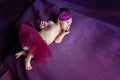 Soft portrait of peaceful sweet newborn infant baby lying on bed while sleeping in purple blanket