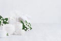 Soft pure white delicate cosmetics set of cream, salt, clay decorated white flowers, green leaves on light soft wooden background. Royalty Free Stock Photo