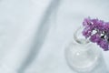 Soft purple flower from the top of glass science flask vase for natural cosmetic research fabric on white fabric background