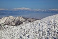 Soft rime and Mt. Gassan in Japan Royalty Free Stock Photo